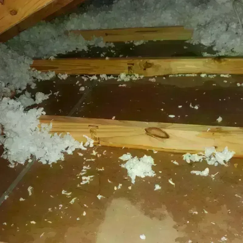 Attic Water Damage in Village Park, HI